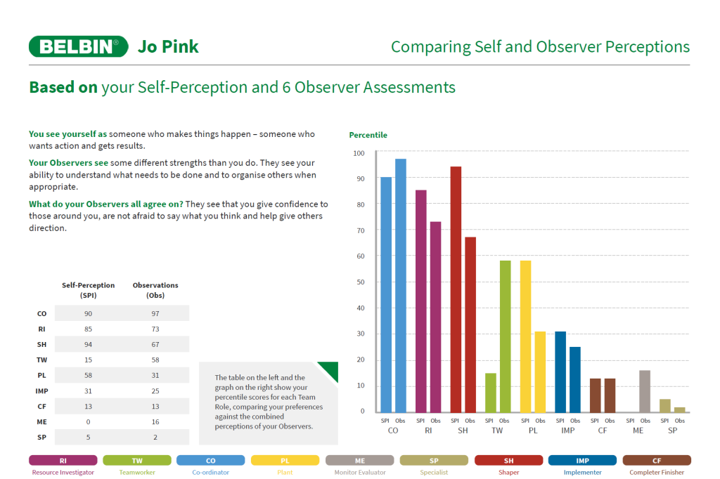 Belbin Report - Individual