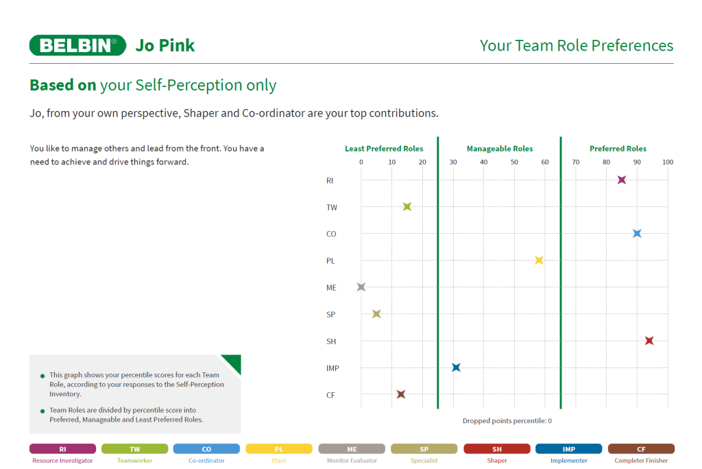 Belbin Report - Individual SPI