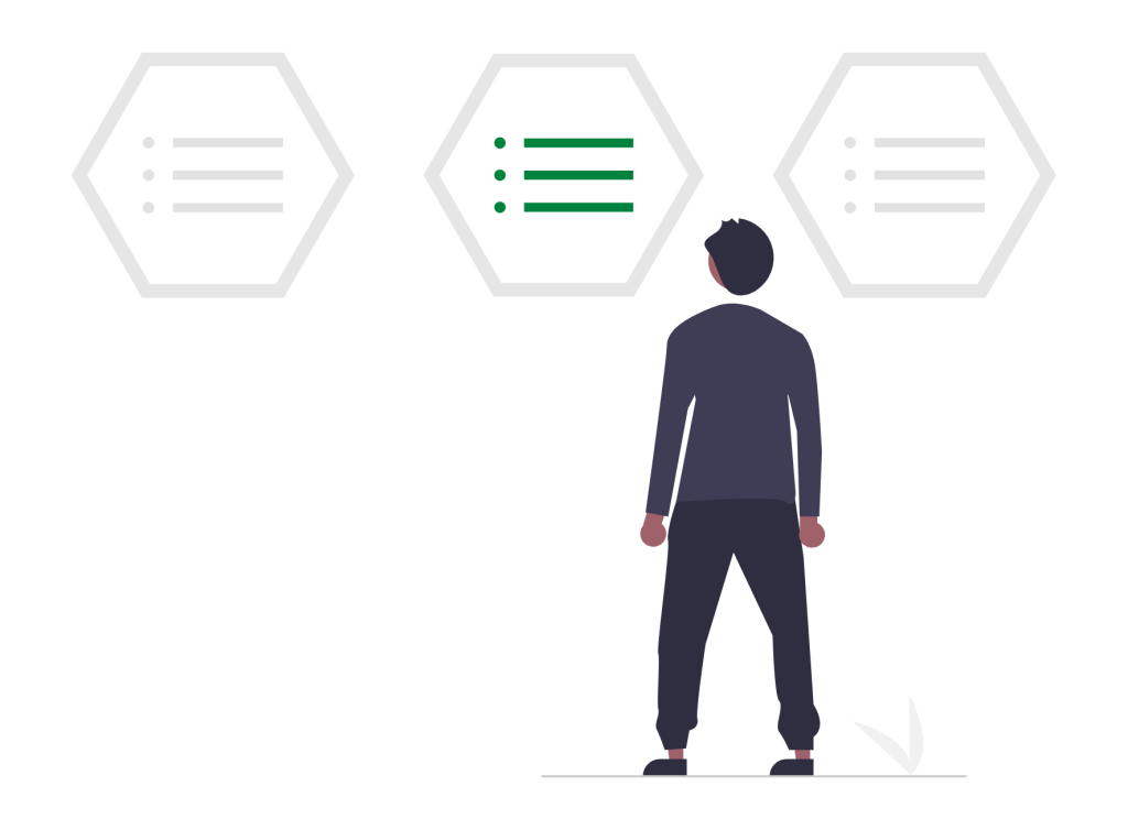 Belbin Options